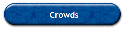 Crowds