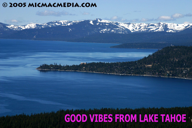 Nugget #12 Good Vibes ID and resized